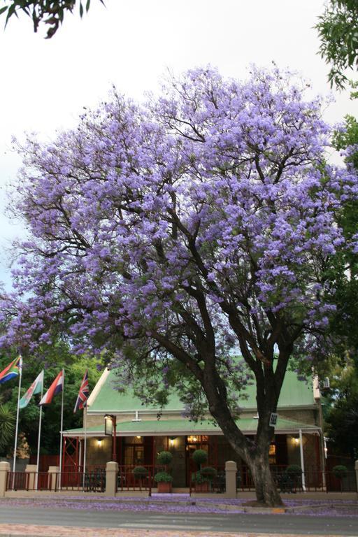 88 Baron Van Reede Guesthouse Oudtshoorn Kültér fotó