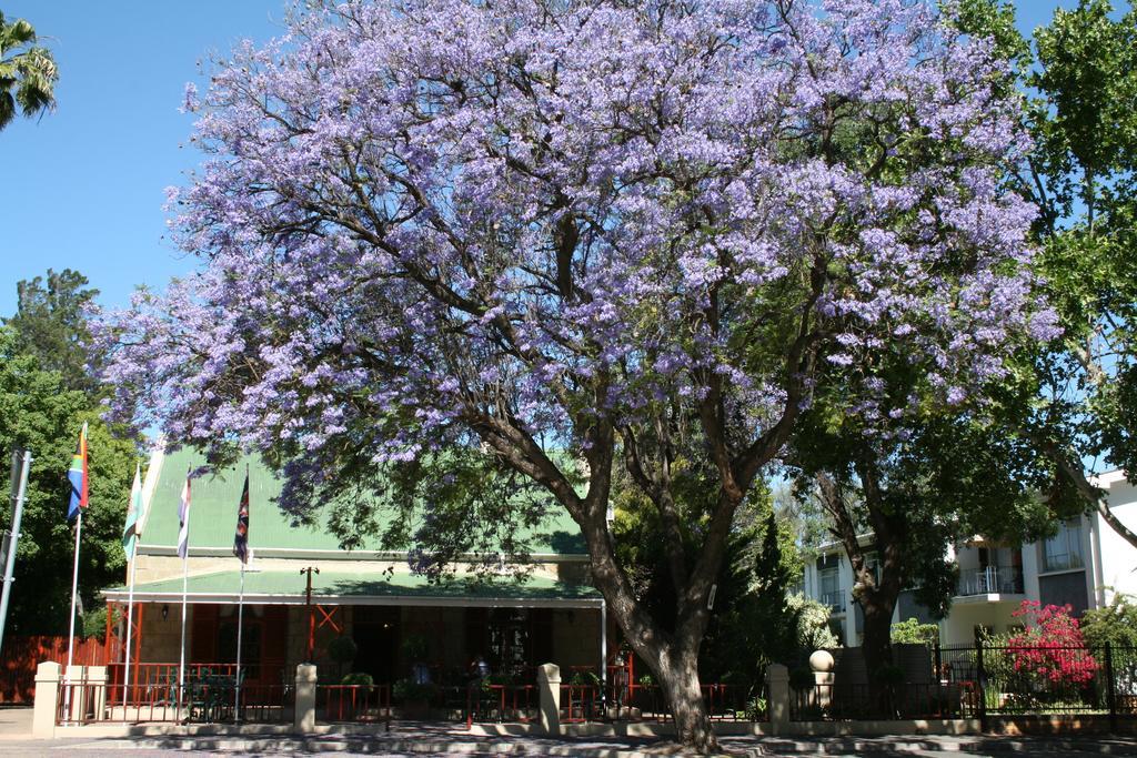 88 Baron Van Reede Guesthouse Oudtshoorn Kültér fotó