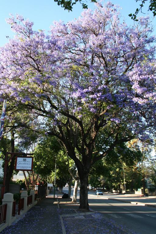 88 Baron Van Reede Guesthouse Oudtshoorn Kültér fotó